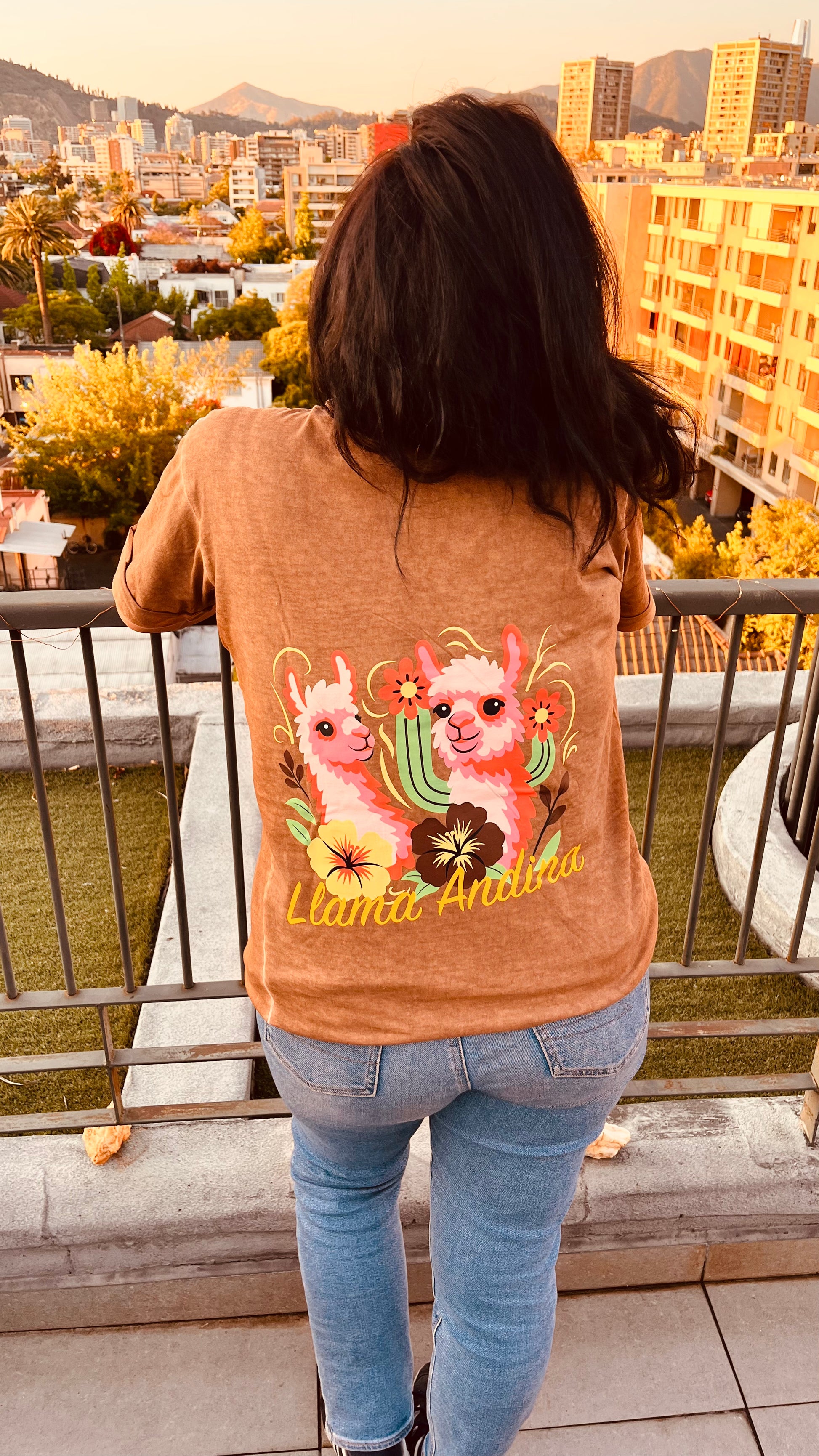 Polera Manga Corta Marrón Desteñido Llama Andina